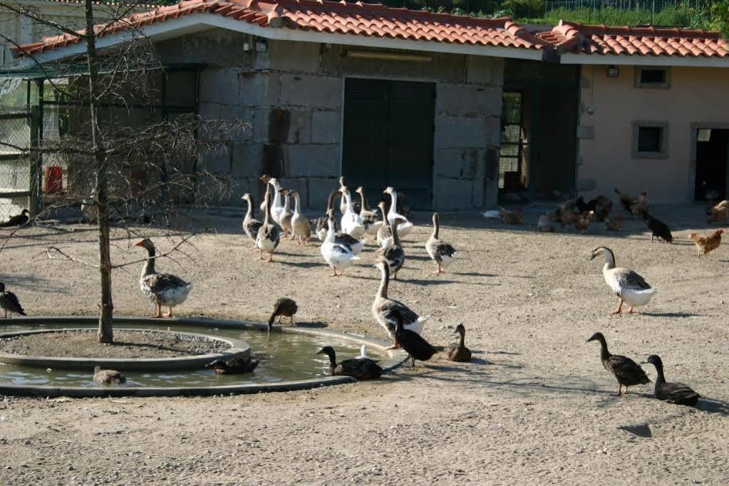 Vale De Rans - Country House Dış mekan fotoğraf