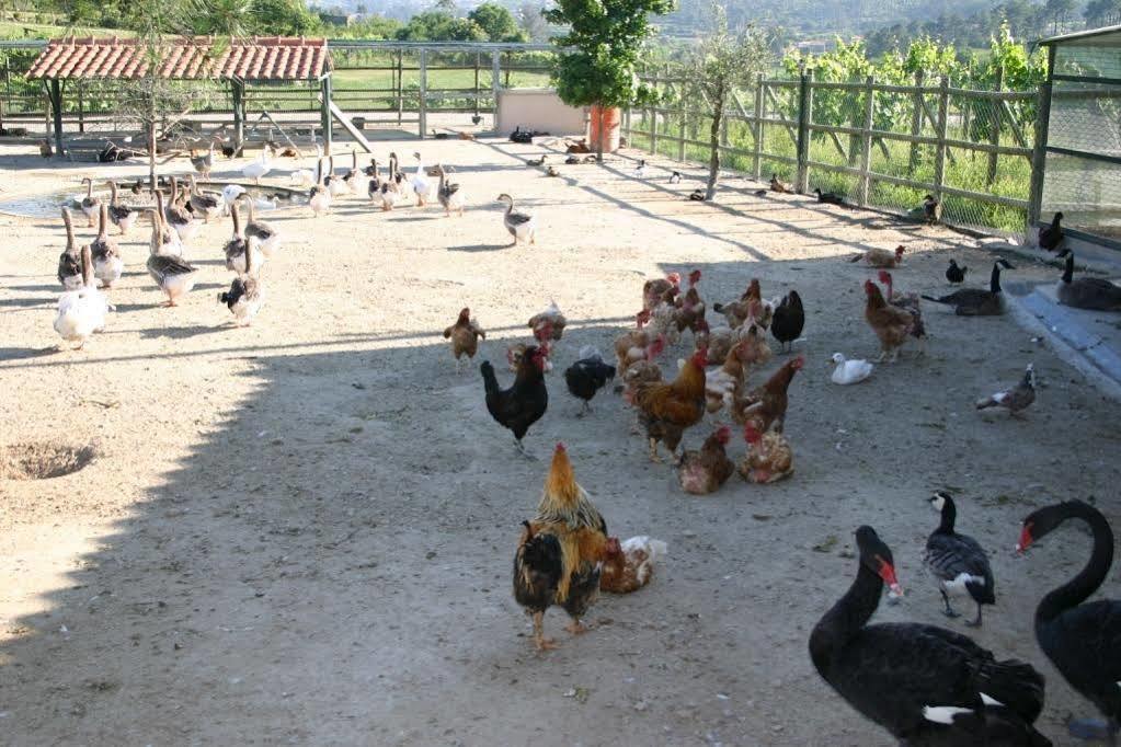 Vale De Rans - Country House Dış mekan fotoğraf